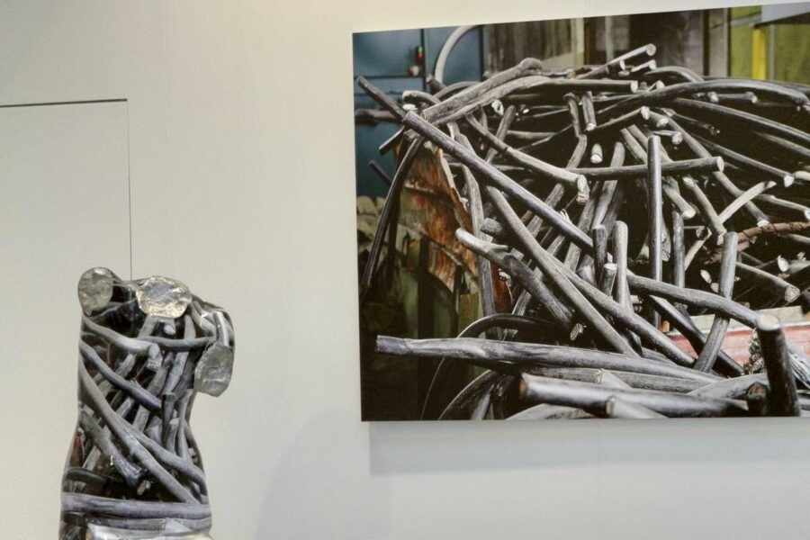 Echoes of Earth. A visual dialogue on Sustainability between Giacomo “Jack” Braglia & Luca Marziale