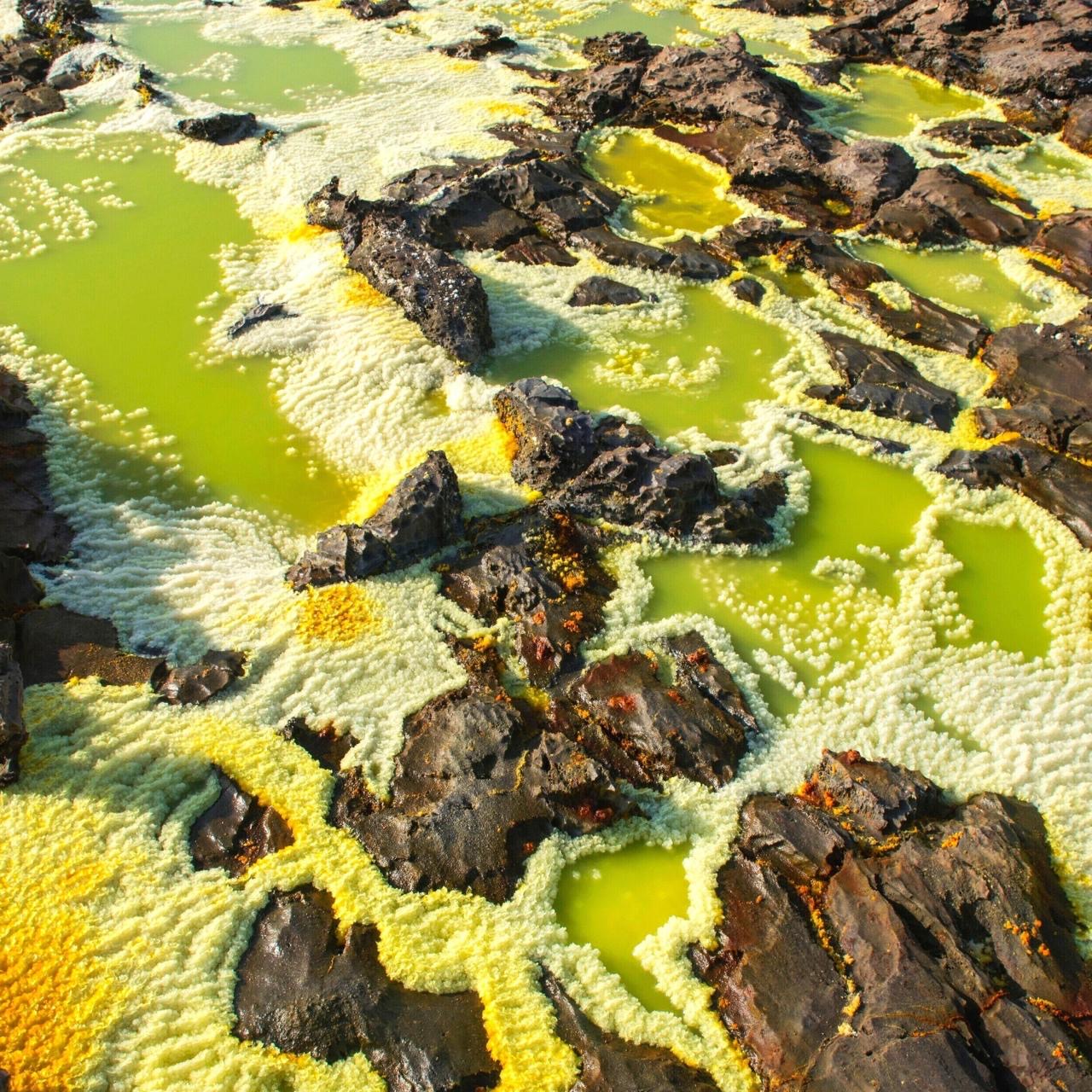 Echoes of Earth. A visual dialogue on Sustainability between Giacomo “Jack” Braglia & Luca Marziale